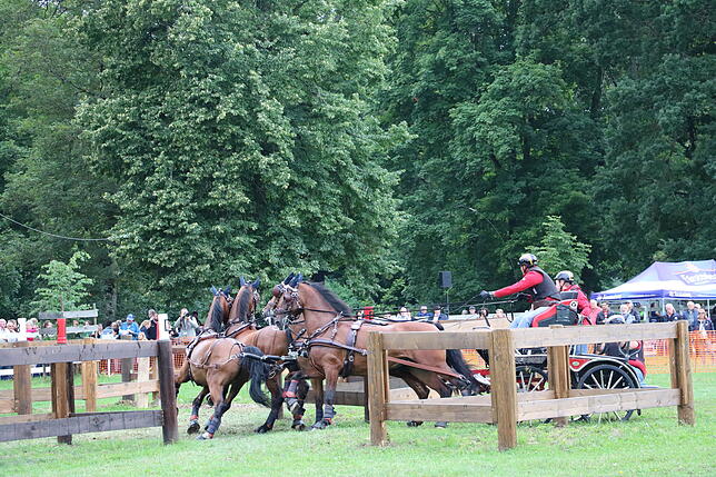 Bild 18: Bilder vom Marathon der Vierspänner beim Reitturnier in Donaueschingen