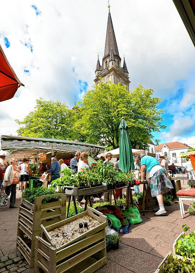 Der Radolfzeller Wochenmarkt bietet nicht nur frische Produkte aus der Region, sondern auch eine einmalige Atmosphäre auf dem Marktplaz ...