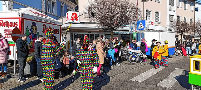 Bild 17: Der große Fasnetsumzug in Tiengen im strahlenden Sonnenschein - hier die schönsten Einblicke