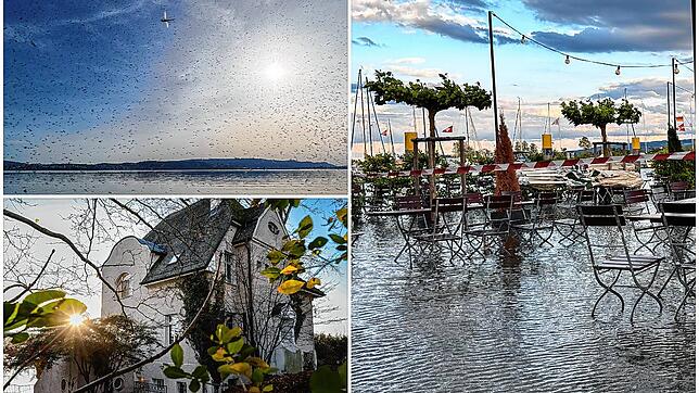 Mückenschwärme am Seeufer, eine Traumvilla am See, Hochwasser – das sind nur ein paar der Themen, die 2024 für Interesse sorgten.