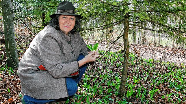 Normalerweise liebt Bärlauch Standorte unter Laubbäumen, nicht zu trocken und gerne etwas feucht. Hier findet Kräuterexpertin Ulrike ...