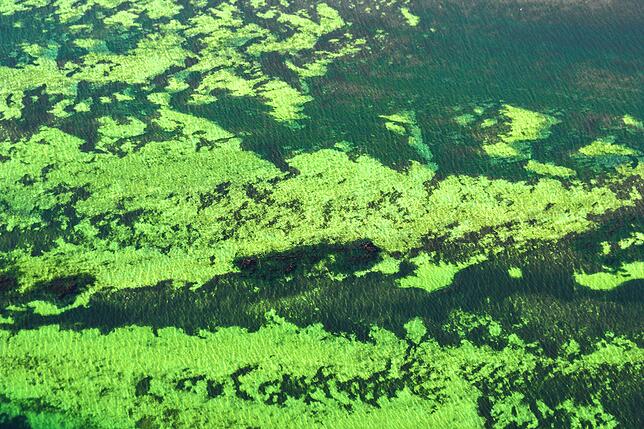Bild 15: Bodensee oder Kroatien? Wenn Niedrigwasser atemberaubende Farben offenbart