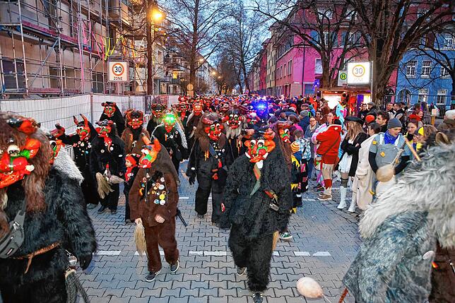 Bild 28: In Petershausen steht der Narrenbaum! Alle Fotos vom Freitagabend