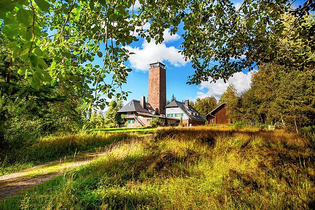 Vom 24 Meter hohen Fohrenbühlturm am Gedächtnishaus auf dem 881 Meter hohen Mooswaldkopf bietet sich eine Rundumsicht bis zu den Alpen.