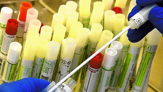Aktuell sind im Landkreis noch 22 Menschen nachweislich mit dem Coronavirus infiziert. Bislang wurde bei niemandem die Delta-Variante ...