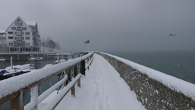 Bild 12: Die Stadt in weiß: Bilder aus dem verschneiten Friedrichshafen