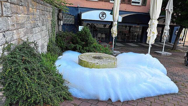 Vor dem Restaurant „Romanca“ und neben der Stadtkirche in Schwenningen: Jede Menge Schau quillt aus dem kleinen Brunnen am frühen ...