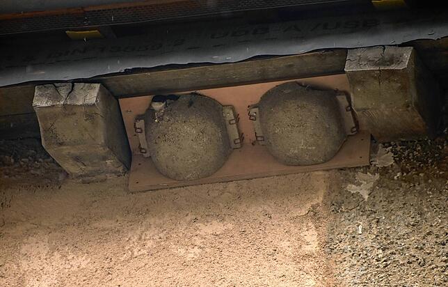 Hallo! Eine Schwalbe schaut aus ihrem Nest unter dem Dach. Rund um den Gebäudekomplett herum sind zahlreiche Nester der geschützten Vögel.