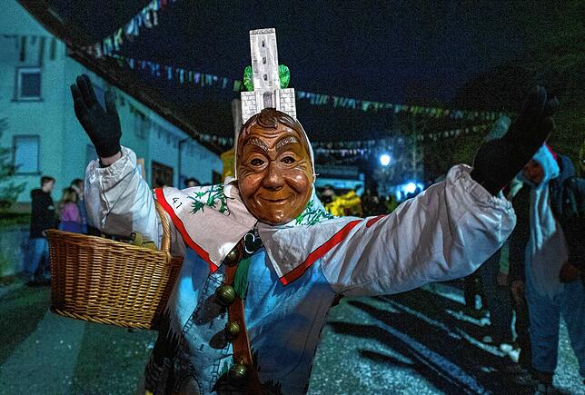 Bild 14: Bilder vom Nachtumzug beim Narrentreffen in Thalheim
