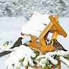 So soll es sein: Winterfütterung an einem Vogelhäuschen. Zwei Amseln und fünf Kohlmeisen genießen ihre Mahlzeit.
