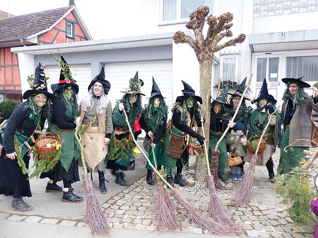 Bild 33: Bilder vom Umzug in Bermatingen