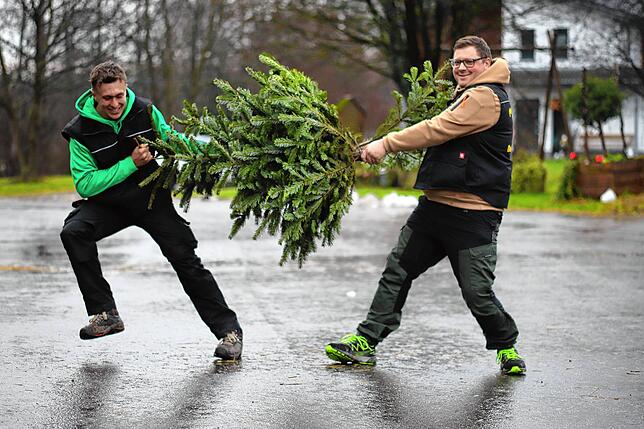 Im Bodenseekreis sammeln viele Vereine die Christbäume ein und nutzen sie für das Funkenfeuer.