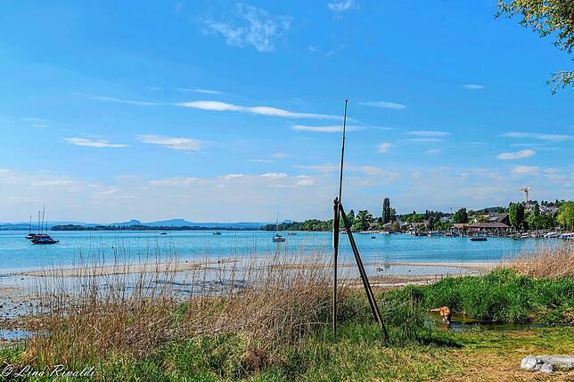 Ein fast wolkenloser Himmel und viel Sonnenschein. Gut versteckt (rechts) kommt gerade ein Hund aus dem Wasser.