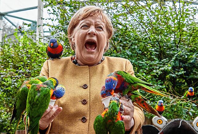 dpatopbilder – 23.09.2021, Mecklenburg-Vorpommern, Marlow: Angela Merkel (CDU), Bundeskanzlerin, füttert australische Loris im ...