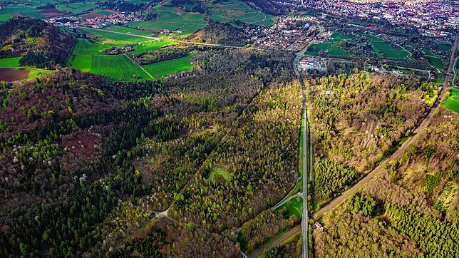 Um diese Fläche geht es: Das Waldgebiet Dellenhau, wo der Kiesabbau geplant ist, liegt zwischen der Bundesstraße 34 in der Bildmitte und ...