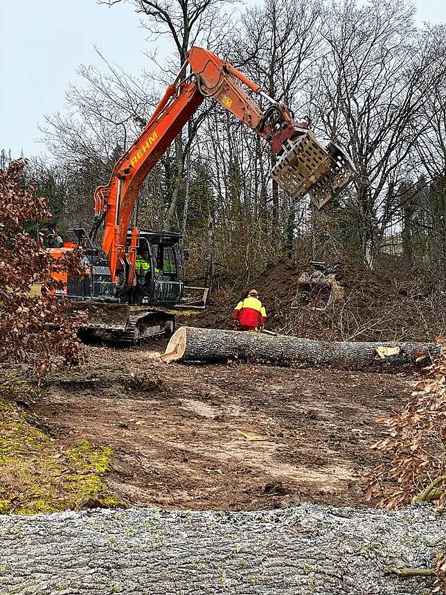 In Aktion: Mit dem Bagger wurde den Bäumen am Sportplatz in Untermettingen zu Leibe gerückt.
