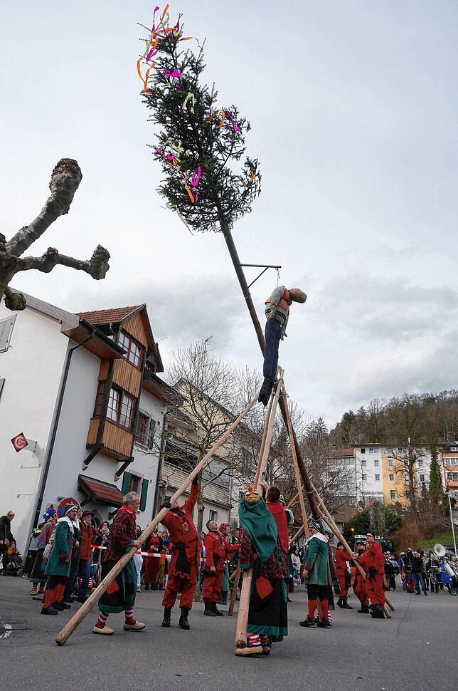 Mit Manneskraft: Meter für Meter heben auf dem Tiengener Marktplatz starke Arme den Narrenbaum mit dem Bög an der Spitze in den ...