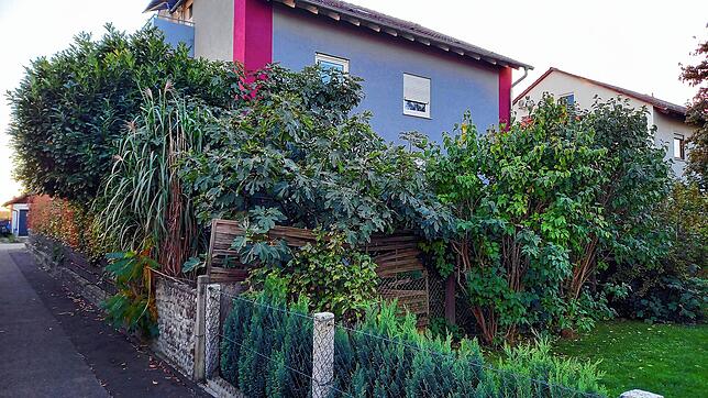 Früher zwei Familien, heute bis zu 30 Monteure: Der neue Eigentümer hat das Haus Sudetenlandstraße 10 innen komplett umgebaut. Die ...