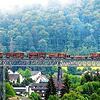 Der Zug mit den mit Holz beladenen Wagen braucht fast die komplette Brückenlänge. Der Testtransport von Holz mit der Bahn von Weizen ...