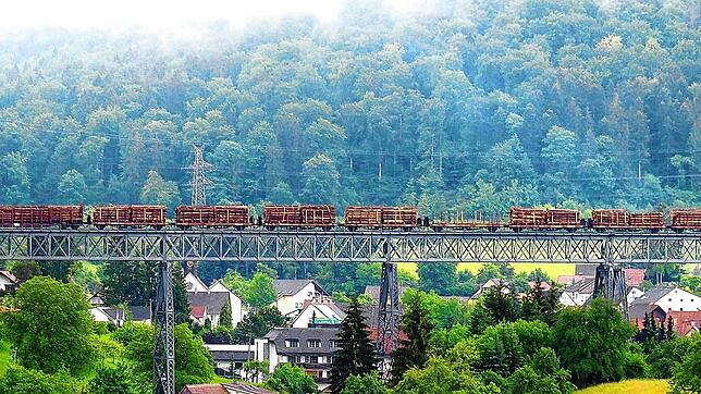 Der Zug mit den mit Holz beladenen Wagen braucht fast die komplette Brückenlänge. Der Testtransport von Holz mit der Bahn von Weizen ...