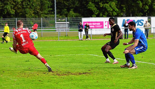 Bild 23: Unsere große Bildergalerie vom 8:1-Sieg des TSV Singen in der Verbandsliga gegen den FC Waldkirch