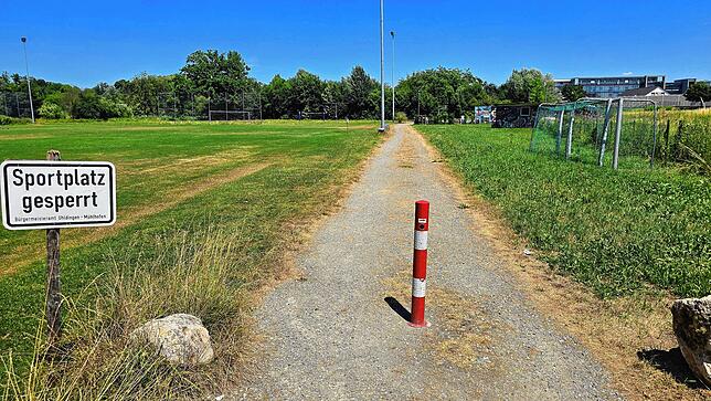 Links soll ein Bikepark mit Sprüngen für Anfänger und Fortgeschrittene entstehen.