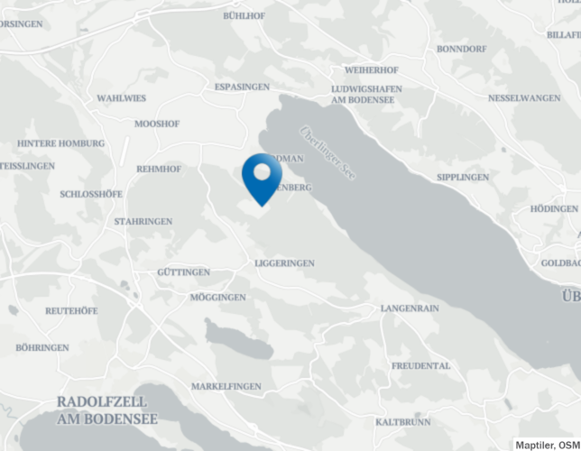 Bild 1: Pferd gestohlen? - Araberhengst Antar wird am Bodensee vermisst