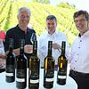 Stoßen auf die neue Markdorfer Weinlinie an (vorne von links): Karl Megerle, Vorstandsvorsitzender Winzerverein Hagnau sowie ...