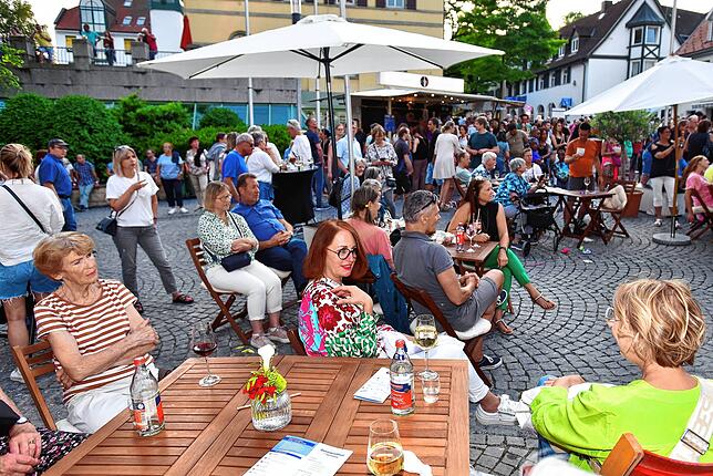 Bild 16: Und weiter geht die Donauquellfest-Party: Hier gibt es Bilder!