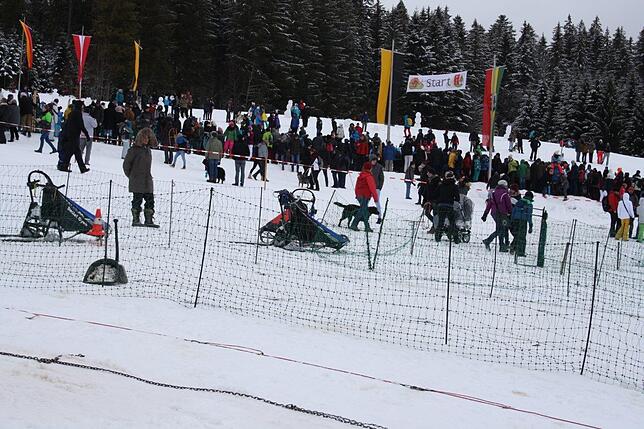 Bild 41: Das Internationale Schlittenhunderennen in Todtmoos 2019 in Bildern