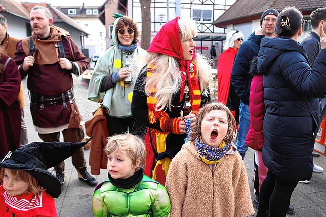 Bild 3: Bilder vom Fasnetssunntig-Umzug in Markdorf (Teil 2)