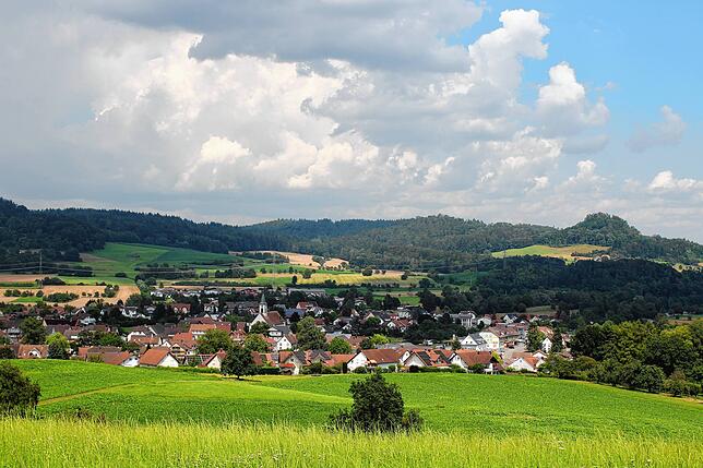 Blick auf Nenzingen vom Hausberg Herpele aus.