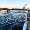 Badeunfall bei Rietheim fordert mutmaßlich ein Todesopfer. Beim Baden im Rhein wurde ein Schwimmer von der Strömung abgetrieben und ging ...