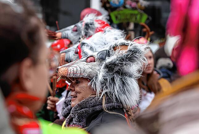 Bild 15: Bilder vom Narrenumzug in Radolfzell (Teil 1)