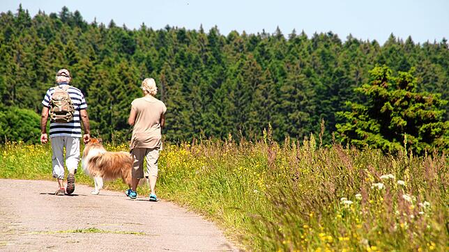 Erholung in der Natur: Im Südschwarzwald sind wieder mehr Touristen unterwegs, entlang des Hochrheins ist dagegen nur eine leichte ...