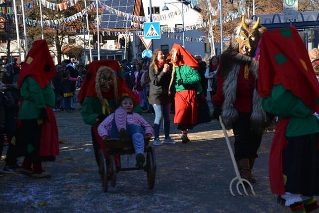 Bild 37: Bilder vom Narrentreffen der Urviecher-Zunft Bad Dürrheim: Großer Festumzug (4)