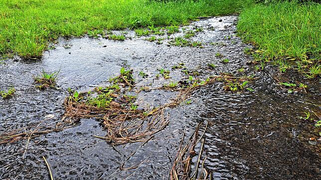 Bild 6: Unwetter am Bodensee: Die Folgen rund um Markdorf aus