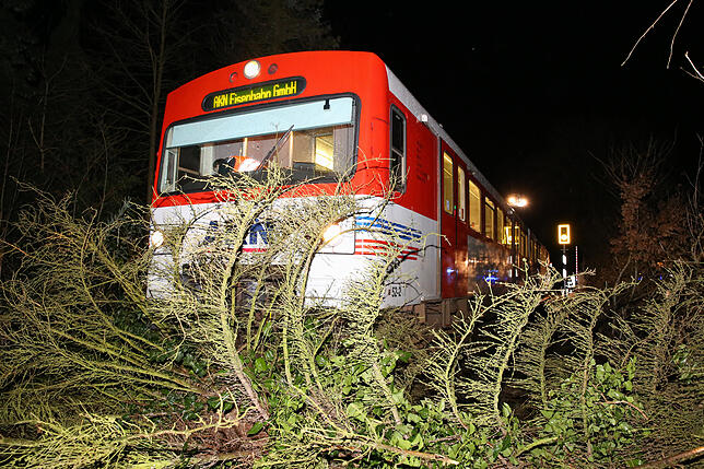 Barmstedt: Ein von Orkanböen des Sturmtiefs &bdquo;Sabine&ldquo; umgewehter Baum liegt auf der Bahnstrecke Hennstedt-Ulzburg &ndash; ...