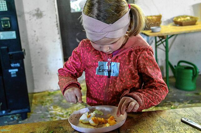 Emma durfte ein gekochtes Ei zerkleinern. Damit wurden die kleinen Küken gefüttert.