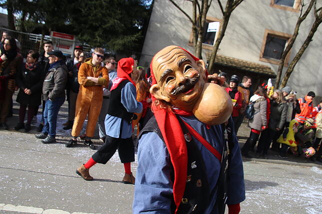 Bild 4: Bilder zum Narrentreffen in Schwerzen (1)