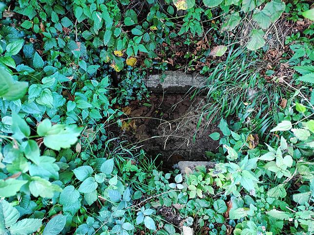 Vor der aufwendigen Restaurierung war der Mattenbrunnen im dichten Bewuchs nicht zu erkennen.