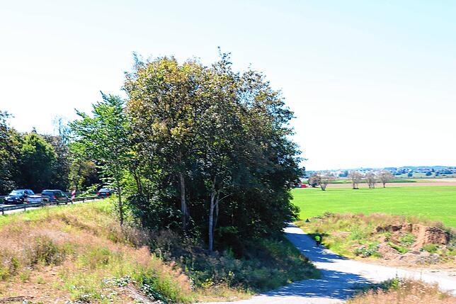 Blick von der Bahnbrücke in Richtung Süden. Ein mehrere hundert Meter langer Waldstreifen muss wegen der Straßenverbreiterung gerodet ...