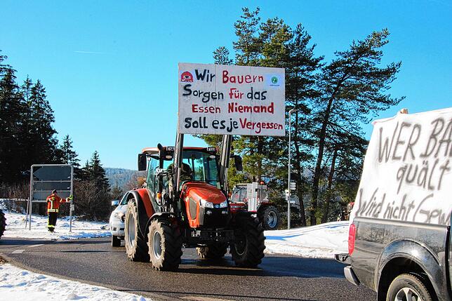 Bild 27: Bauern protestieren gegen Sparpläne: Bilder vom Traktorkorso zur Brauerei Rothaus