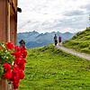 Im Bregenzerwald und rundherum gibt es für Naturliebhaber viele Wanderrouten zu entdecken.