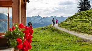 Im Bregenzerwald und rundherum gibt es für Naturliebhaber viele Wanderrouten zu entdecken.