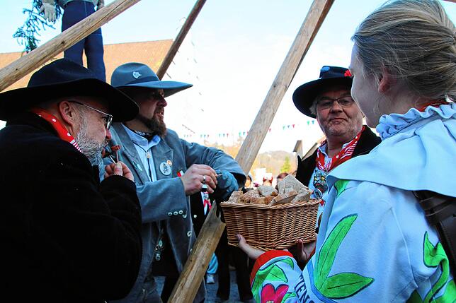 Bild 22: Fasnachts-Auswerfen und Narrenbaumstellen: Bilder des Hochrhein Narrentreffens in Tiengen (Teil 2)