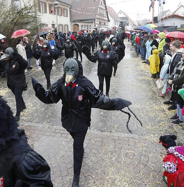 Bild 12: Bilder zum großen Narrentreffen in Pfohren (2)