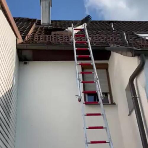 Feuerwehr rettet Jungstorch