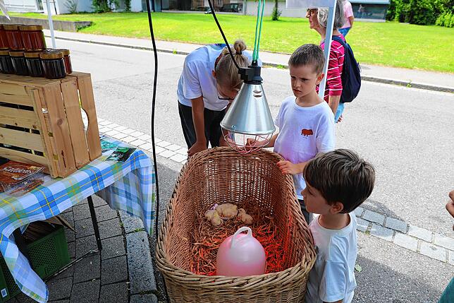 Bild 24: Die besten Bilder vom StraSeenFest in Illmensee