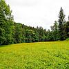 Auf dieser Waldwiese südlich von Birndorf soll der Waldkindergarten am 1. März in Betrieb gehen.